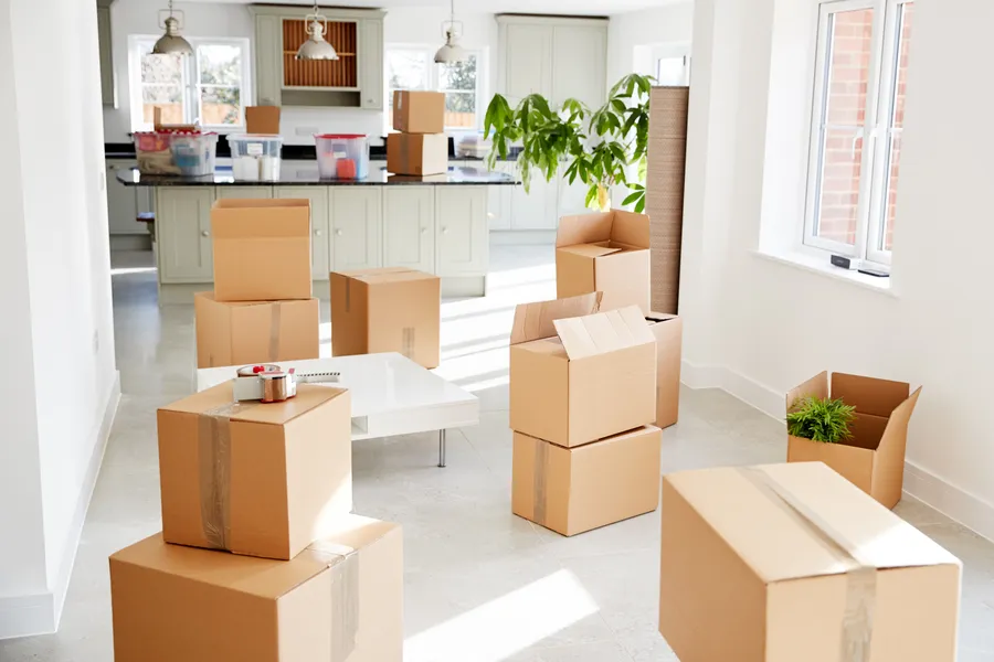 Benefits Of Hiring Professionals For Estate Cleanout Projects Taylor, MI