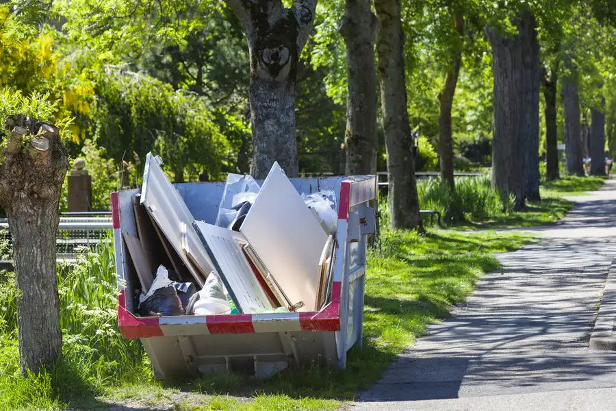 Tips For Choosing The Right Dumpster Rental For Your Project Taylor, MI Tips For Choosing The Right Dumpster Rental For Your Project Taylor, MI